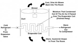 evaporator1